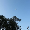 IMG_1300.JPG