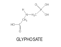 「Glyphosate」的圖片搜尋結果