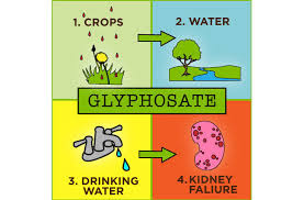 「Glyphosate」的圖片搜尋結果