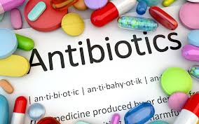 「antibiotics」的圖片搜尋結果