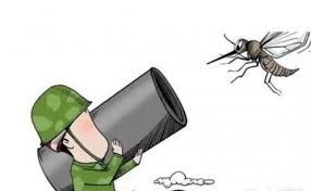 「打蚊子  英文」的圖片搜尋結果