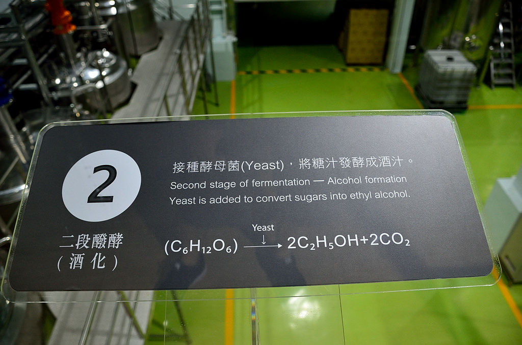 潭酵天地 觀光工廠 三段式發酵 第二階段 酒化