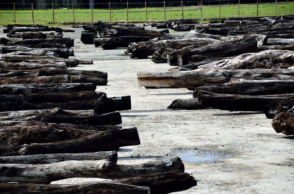 中興文化創意園區