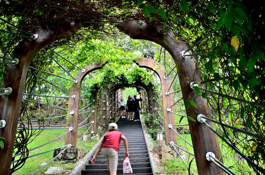知本國家森林遊樂區