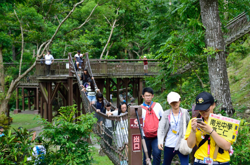 知本國家森林遊樂區 獨木橋