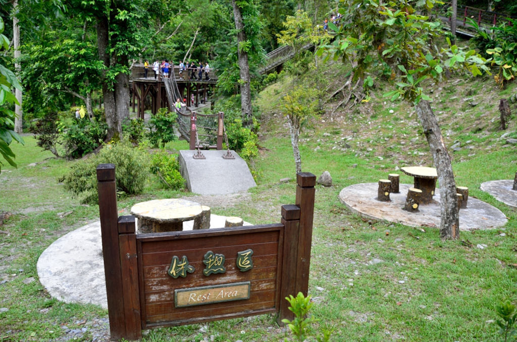 知本國家森林遊樂區 獨木橋