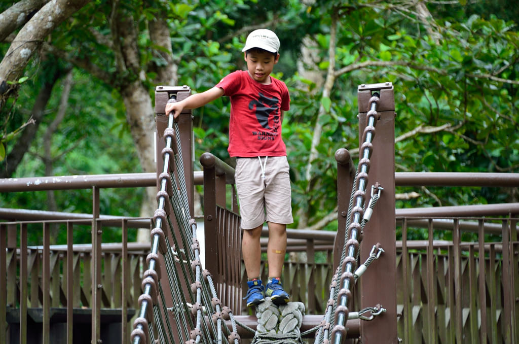 知本國家森林遊樂區 獨木橋