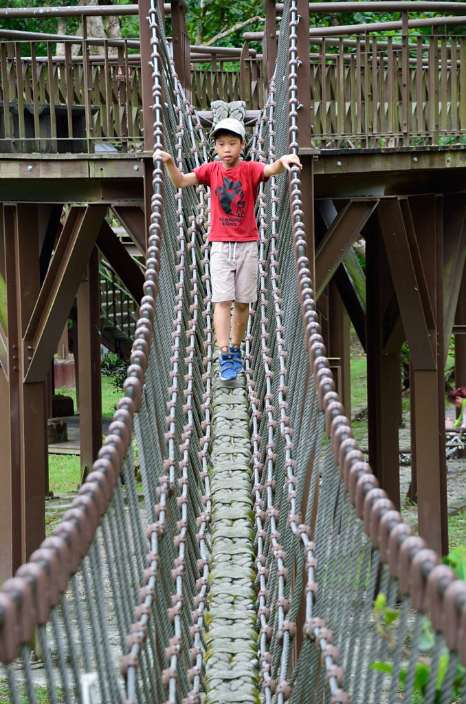 知本國家森林遊樂區 獨木橋