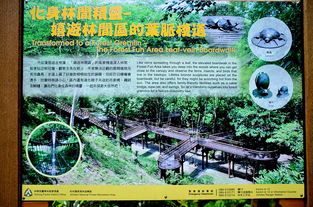 知本國家森林遊樂區 葉脈棧道