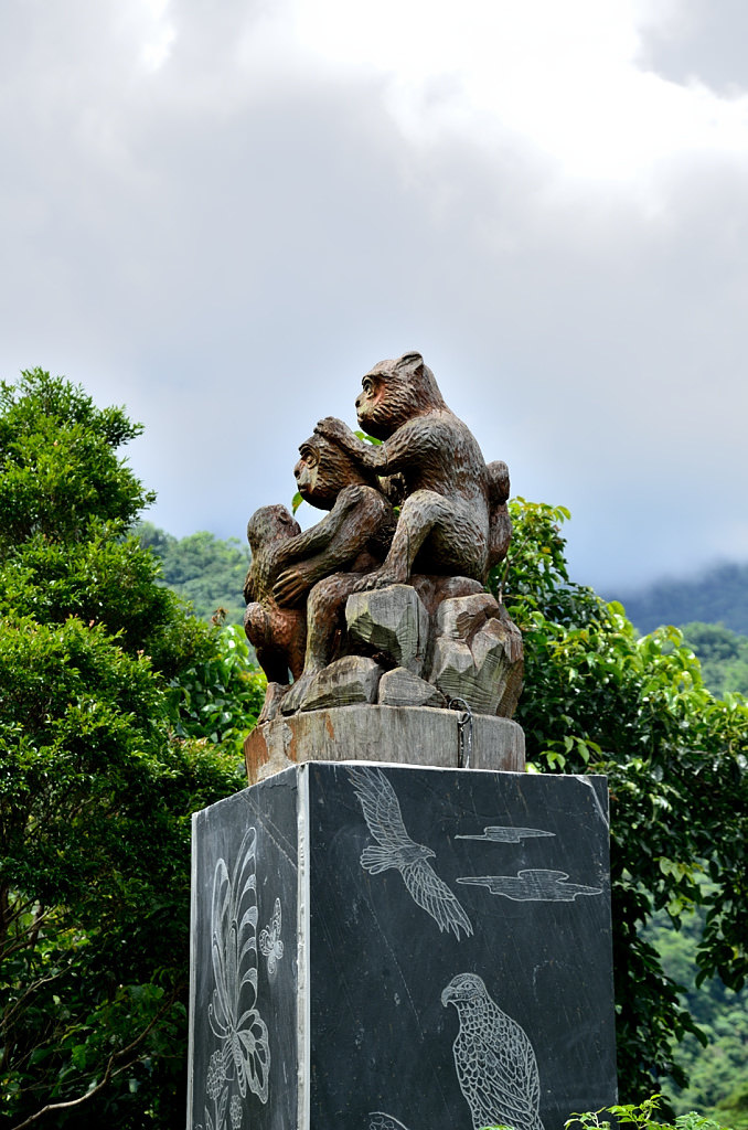知本國家森林遊樂區