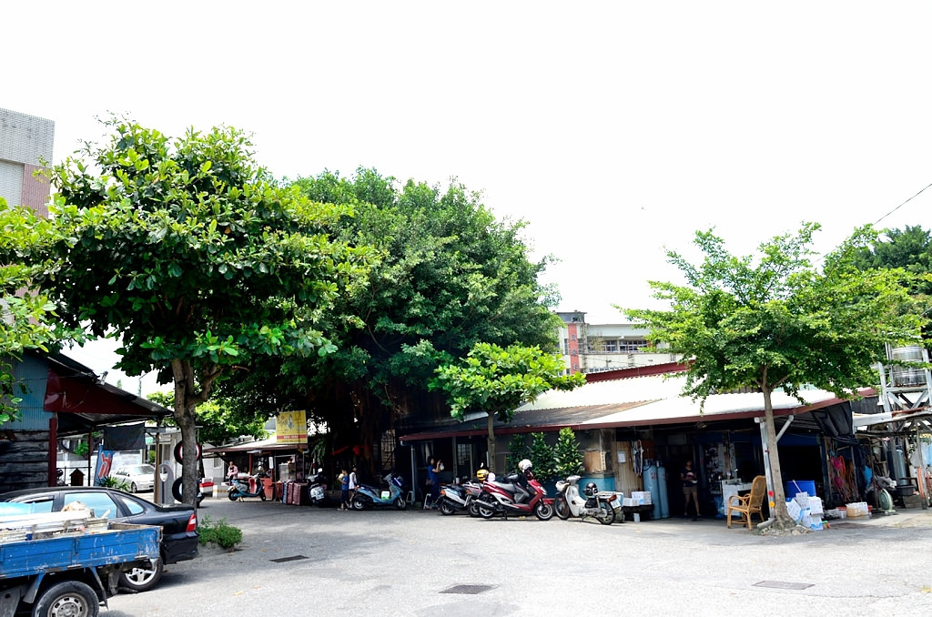 花蓮 榕樹下麵店