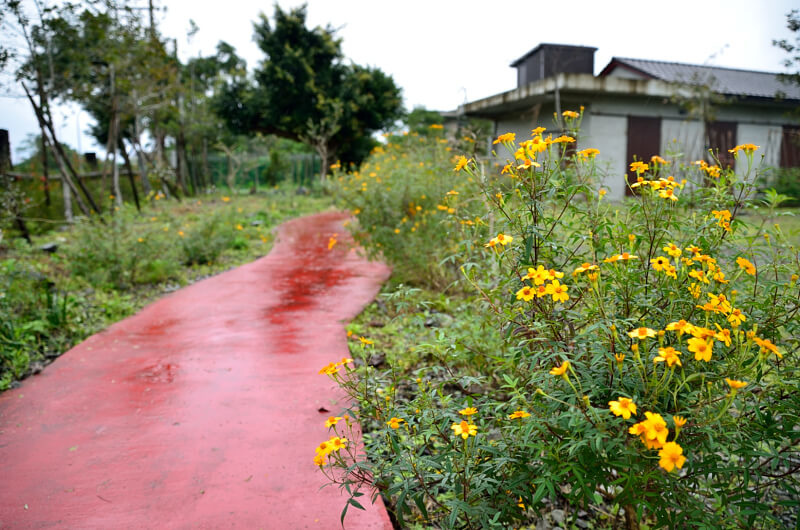 DSC_0487.JPG 宜蘭 冬山 屋頂庭園咖啡