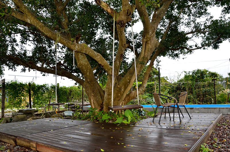 DSC_0498.JPG 屋頂庭園咖啡 盪鞦韆