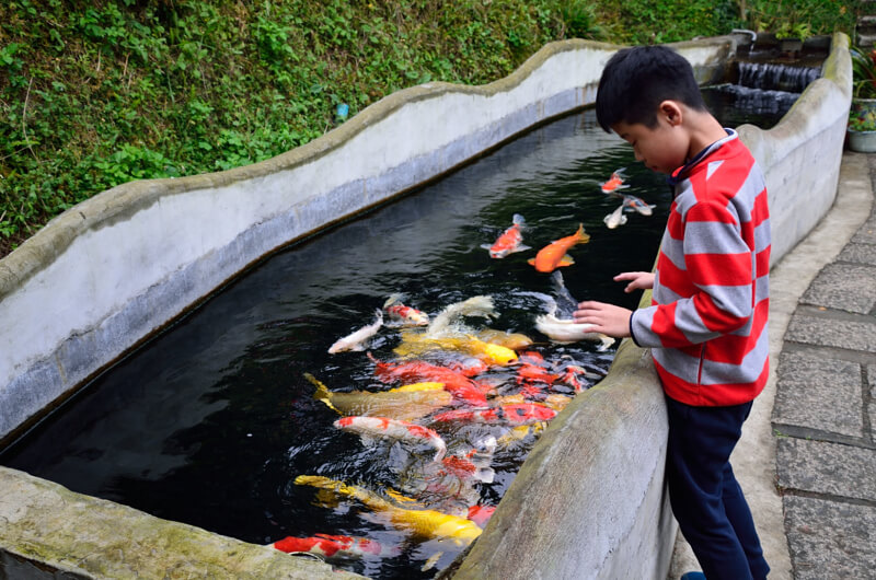 魚池