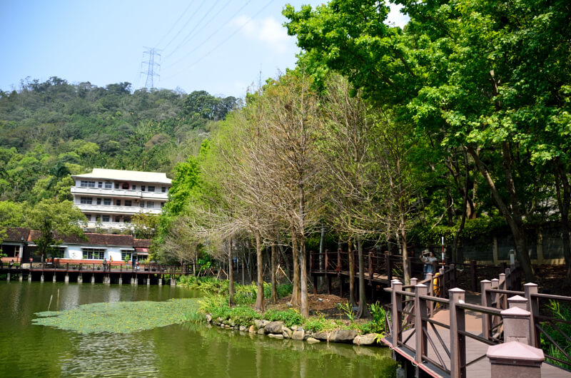 車埕木業展示館，貯木池步道