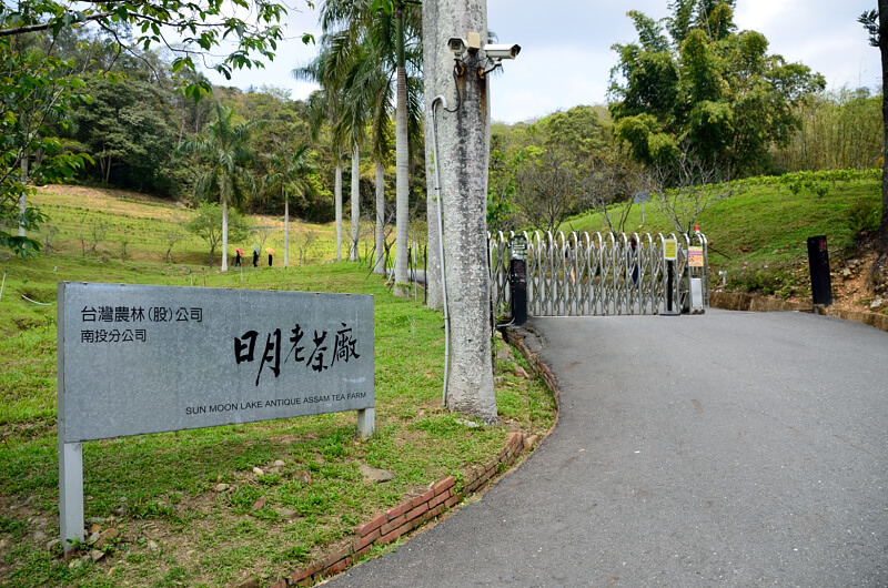 日月老茶廠