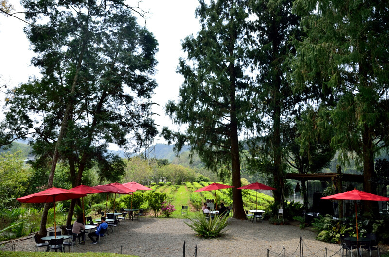 日月老茶廠,座位區