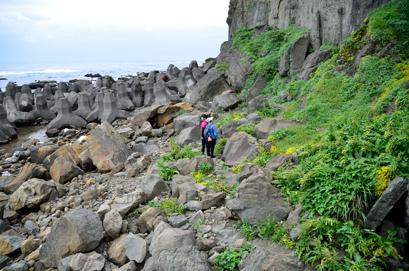 DSC_1740.JPG DSC_1740.JPG