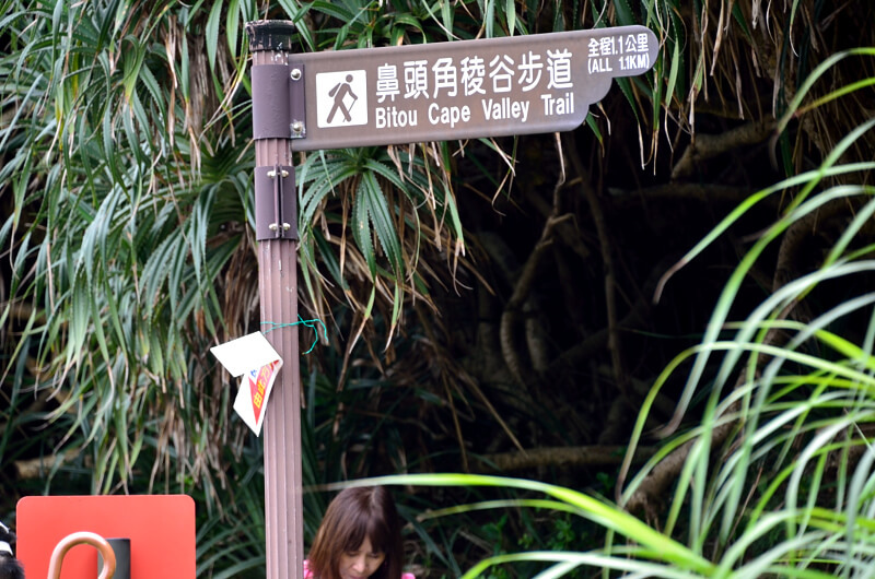 DSC_2104.JPG DSC_2104.JPG