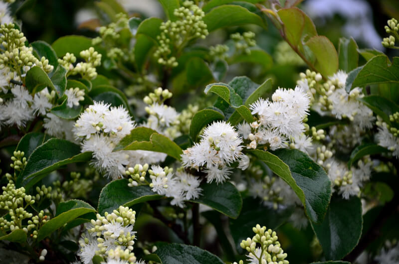 DSC_2184.JPG DSC_2184.JPG