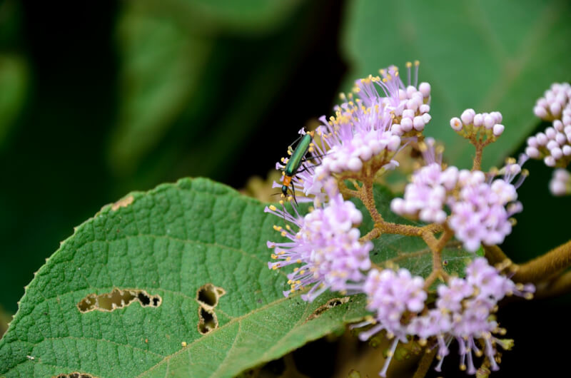 DSC_2189.JPG DSC_2189.JPG