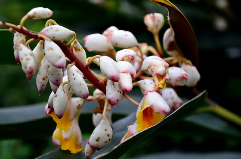 DSC_2202.JPG DSC_2202.JPG