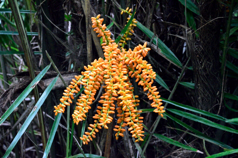 DSC_2219.JPG DSC_2219.JPG