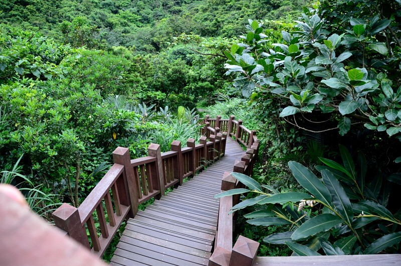 DSC_2206.JPG DSC_2206.JPG