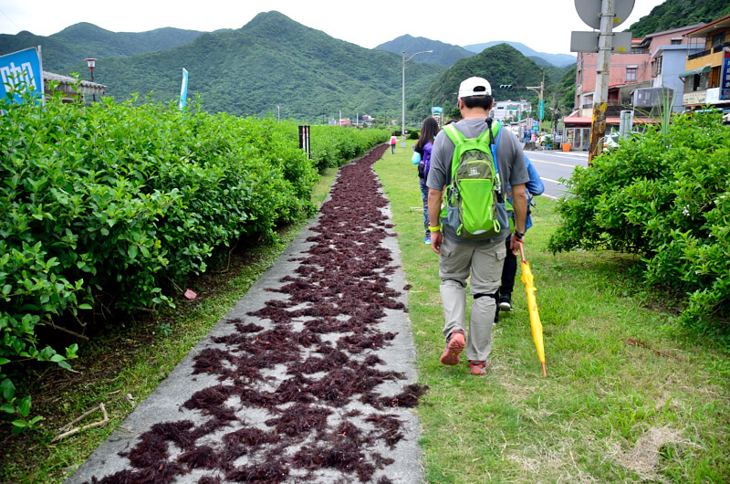 DSC_2242.JPG DSC_2242.JPG