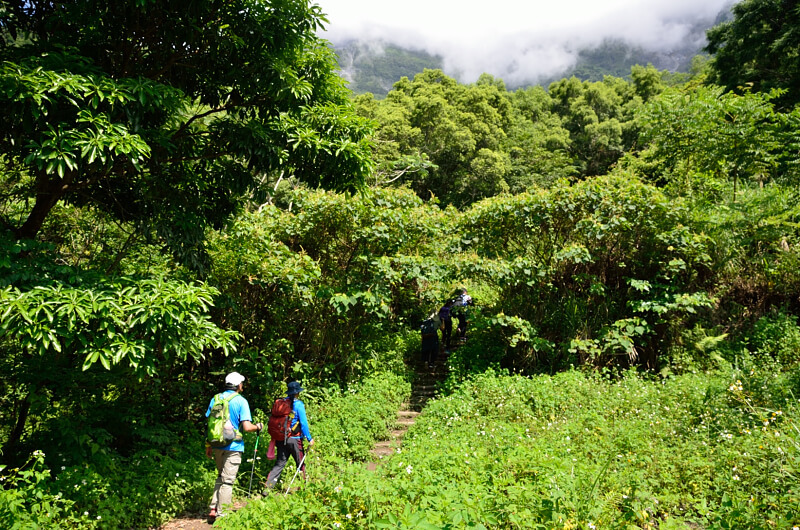 錐麓古道 錐麓古道