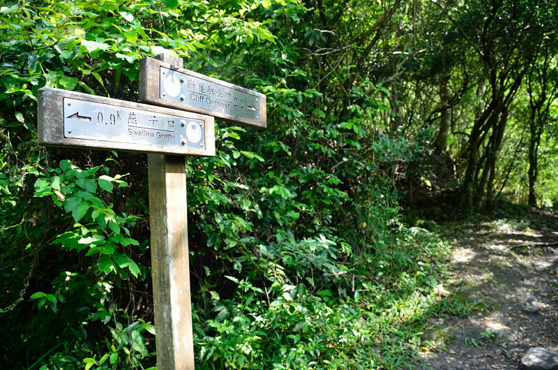 錐麓古道 錐麓古道