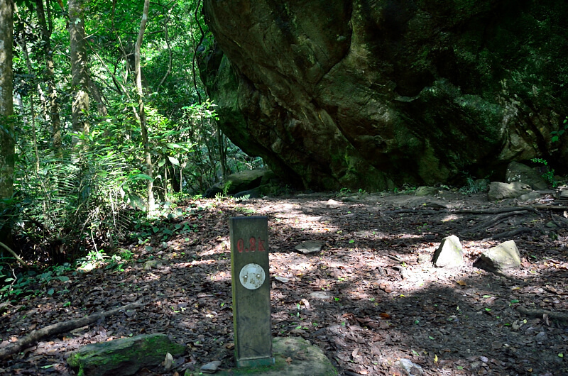 錐麓古道 錐麓古道
