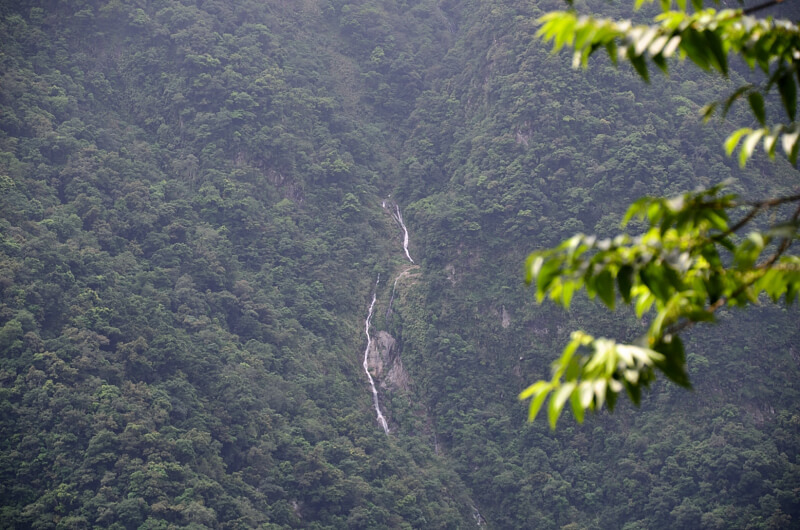 錐麓古道 錐麓古道