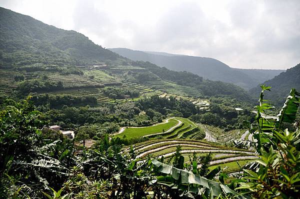百年梯田-石門嵩山 百年梯田-石門嵩山