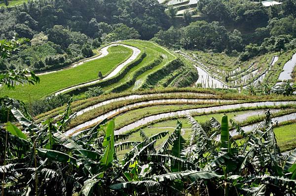 百年梯田-石門嵩山