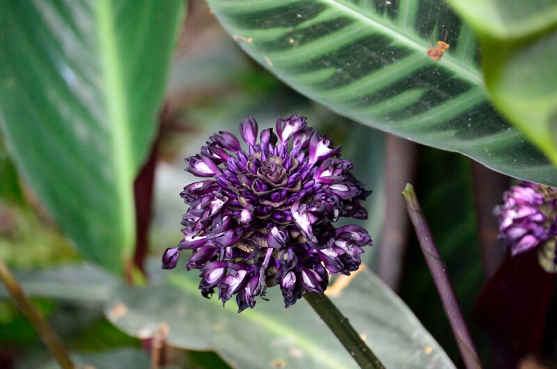 獅頭山登山步道