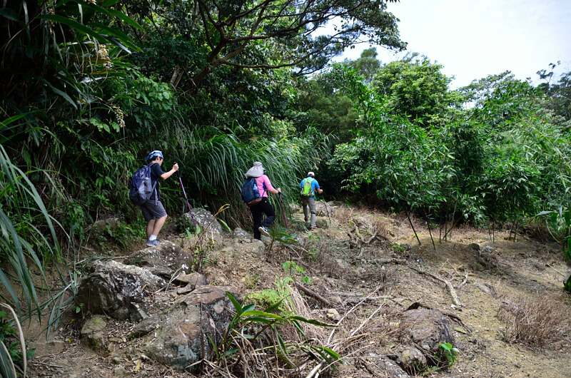 待老坑山步道