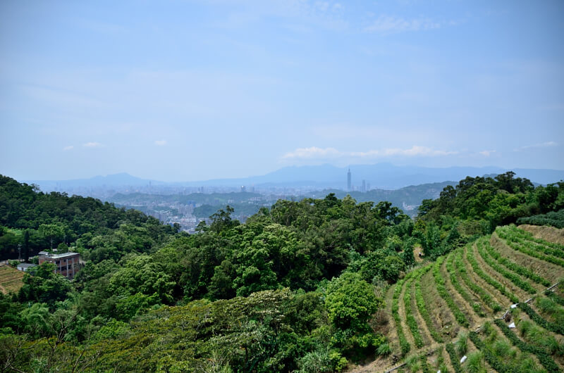 樟湖步道瓦厝支線 101大樓