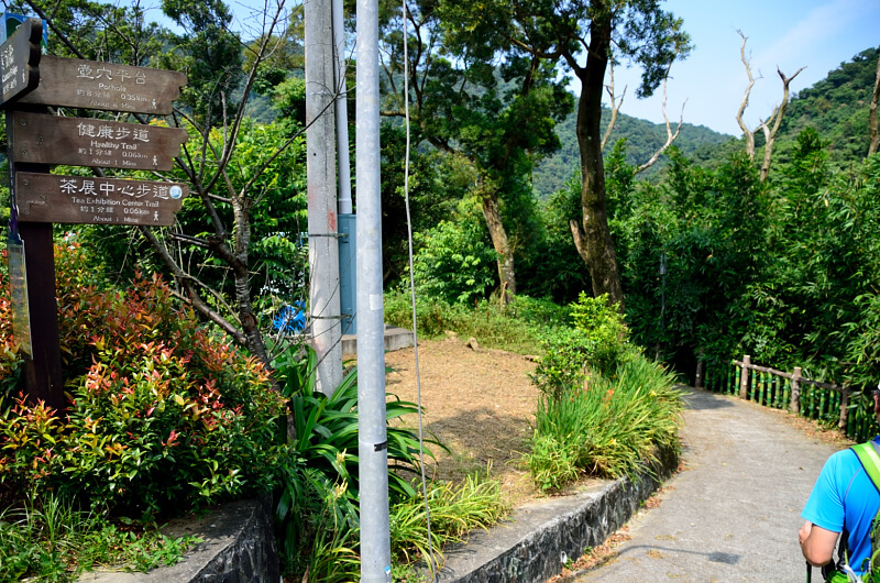 茶展中心步道