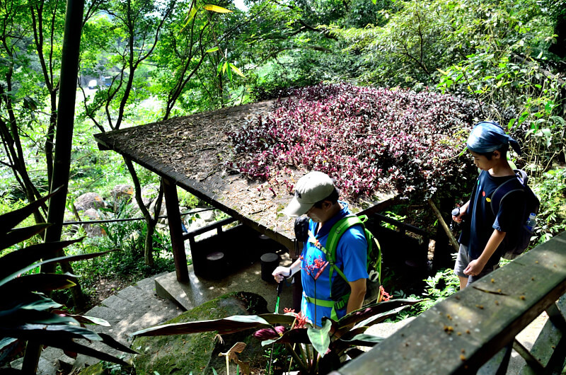 茶展中心步道 觀瀑亭