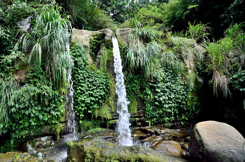 茶展中心步道 觀瀑亭