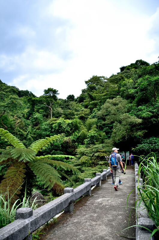坪頂古圳 田尾仔橋 坪頂古圳 田尾仔橋