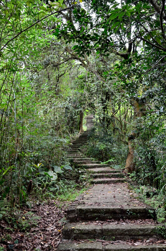 坪頂古圳 坪頂古圳