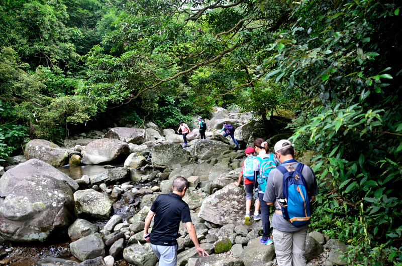 坪頂古圳 坪頂古圳
