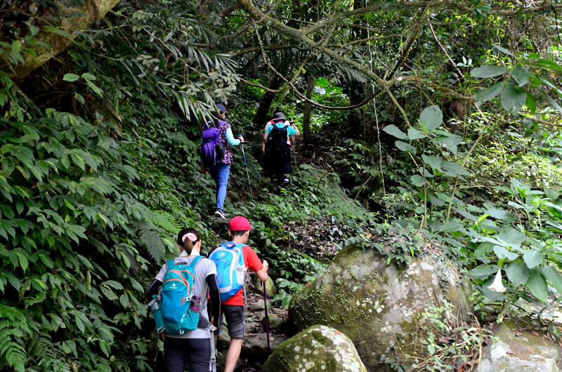 坪頂古圳 坪頂古圳
