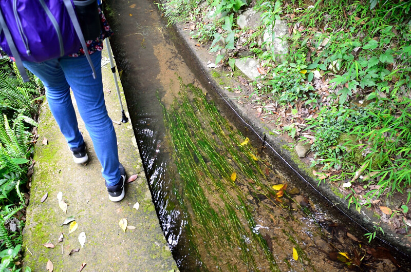 坪頂古圳 坪頂古圳