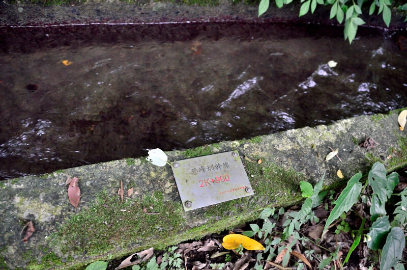 坪頂古圳 坪頂古圳