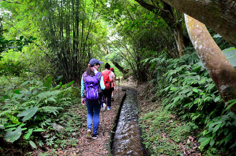 坪頂古圳 坪頂古圳