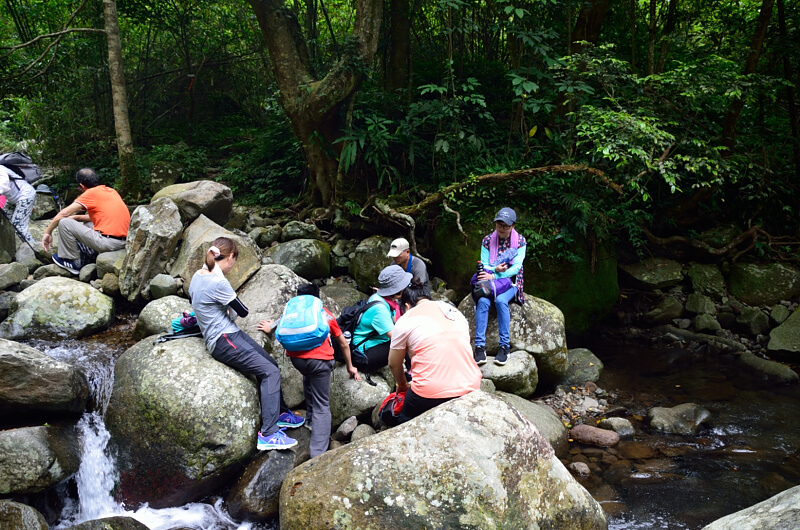 坪頂古圳 坪頂古圳