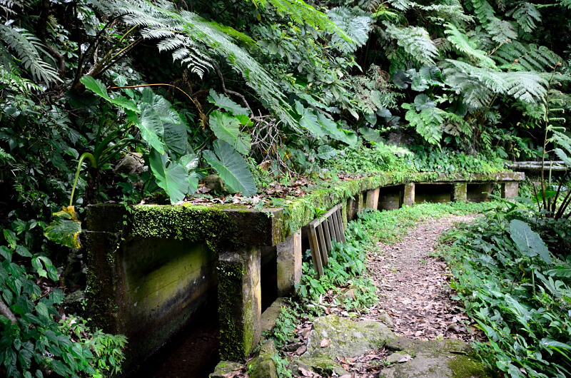 坪頂古圳